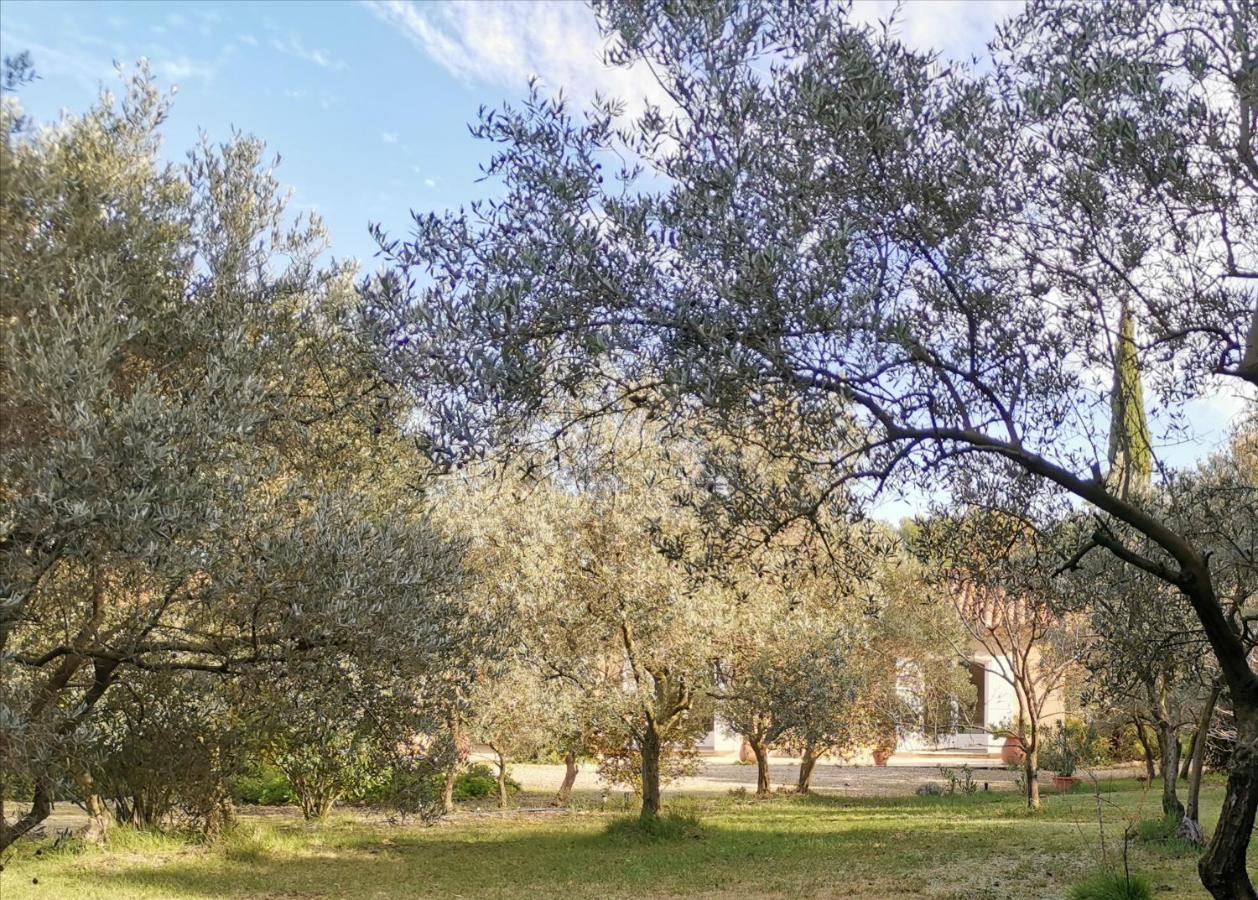 Mas Des Oursons - Chambres D'Hotes 阿爾勒 外观 照片